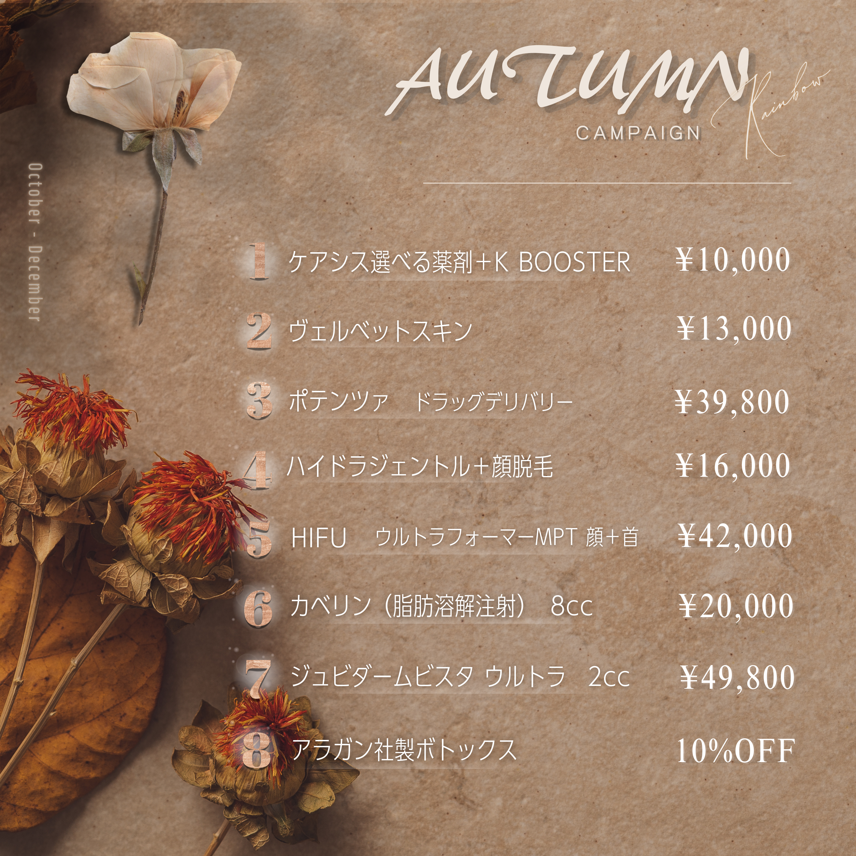 🍂2025年10月〜12月秋キャンペーン🌰📖💜